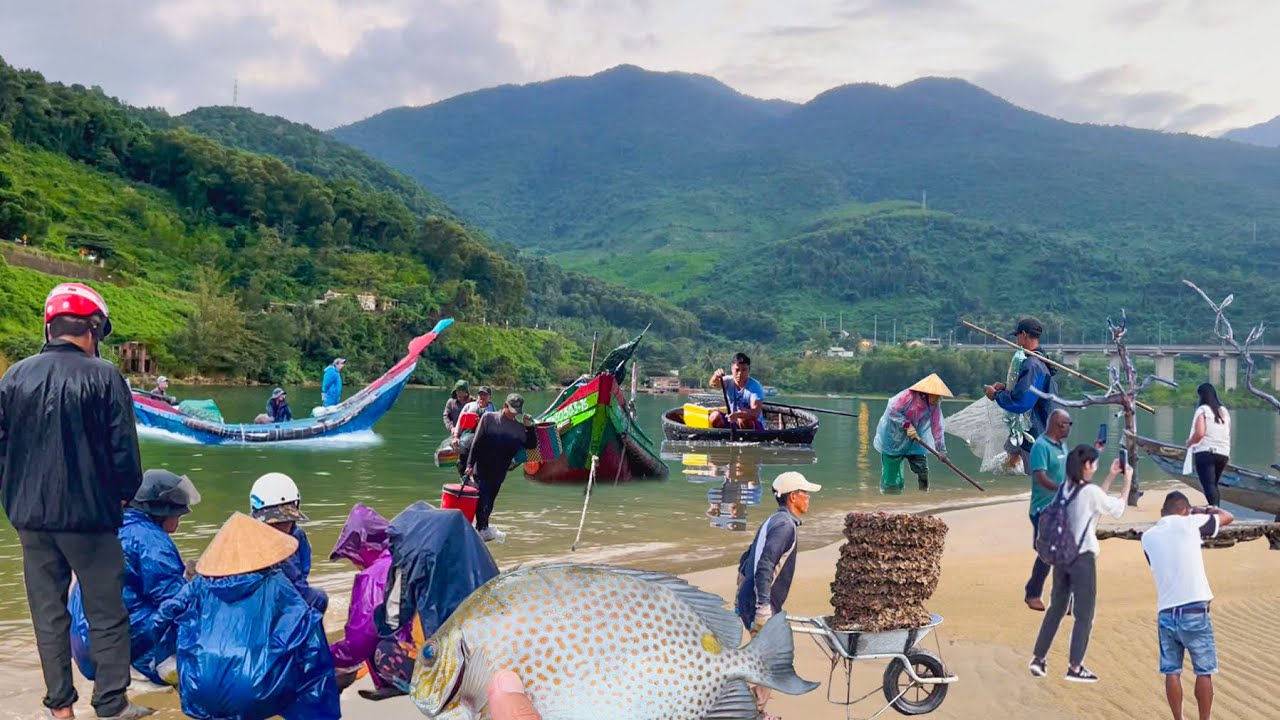 VỊNH LĂNG CÔ HUẾ Đẹp Như Tranh Vẽ║Lưới Cá Móm Đóng Kín Trên Hồ Lập An