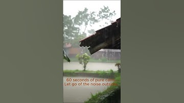 "60 Seconds of Rain = 60 Seconds of Peace 🌙"