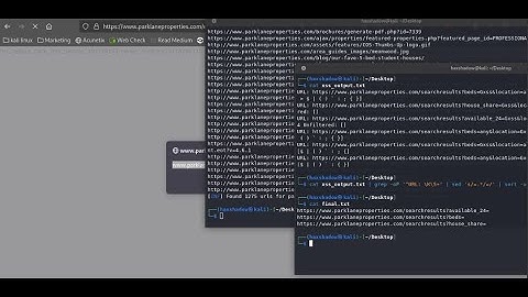 Proven XSS Methodology for Bug Bounty Hunters | WordPress Guide