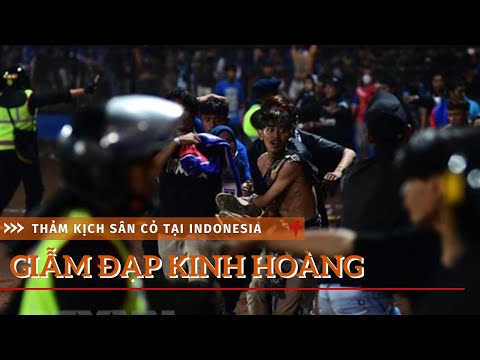 Video Cảnh giẫm đạp kinh hoàng trên sân cỏ Indonesia khiến... - youtube