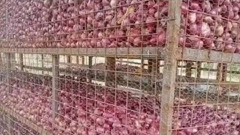 HOW TO BUILD AN ONION STORE DIY