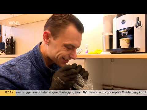 Video: Hoe groot wordt een rat terrier chihuahua-mix?