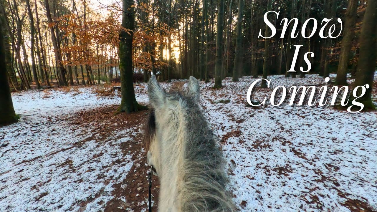 Relaxing Horseback Ride in the First Snow of the Year ❄️ | Winter Forest Sounds