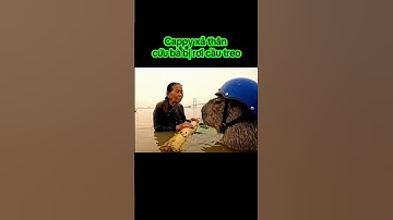Cappy xả thân cứu bà bị rơi cầu treo#capybara #fyp #veo3 #ai #trending