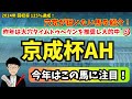【穴党の京成杯AH2025】【昨年穴馬★タイムトゥヘヴンから◎〇決着で的中🎯】穴党が京成杯オータムハンデで狙いたい馬を紹介！