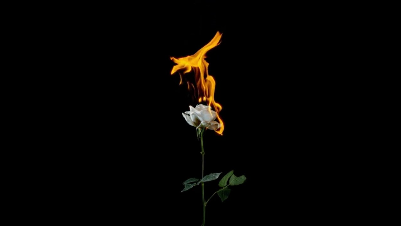 Watch undertherose - flames on YouTube Watch undertherose - flames on YouTube