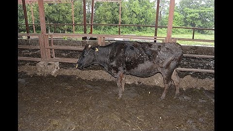 『福島　生きものの記録　シリーズ2 異変』映画オリジナル予告編