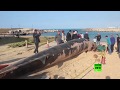 العثور على حوت ميت على شاطئ مدينة الإسكندرية المصرية