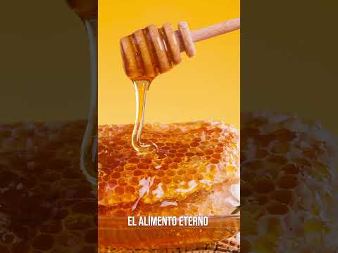 El Alimento Eterno