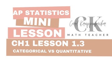 AP Statistics: Chapter 1 Lesson 1.3 - Categorical vs Quantitative (Mini Lesson)