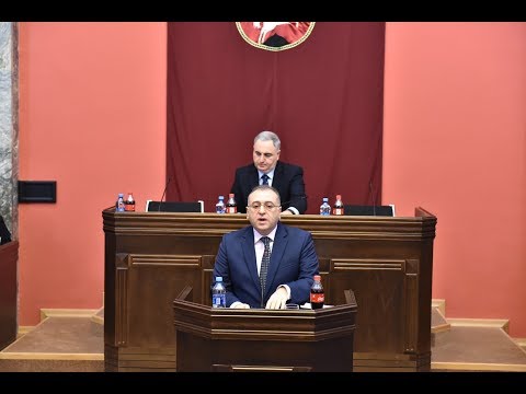 კობა გვენეტაძის გამოსვლა 22/11/2018