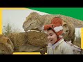 Dinosaurs Discoveries Stygimoloch Spikes Therizinosaurus Love Dino Dana DinoKids 