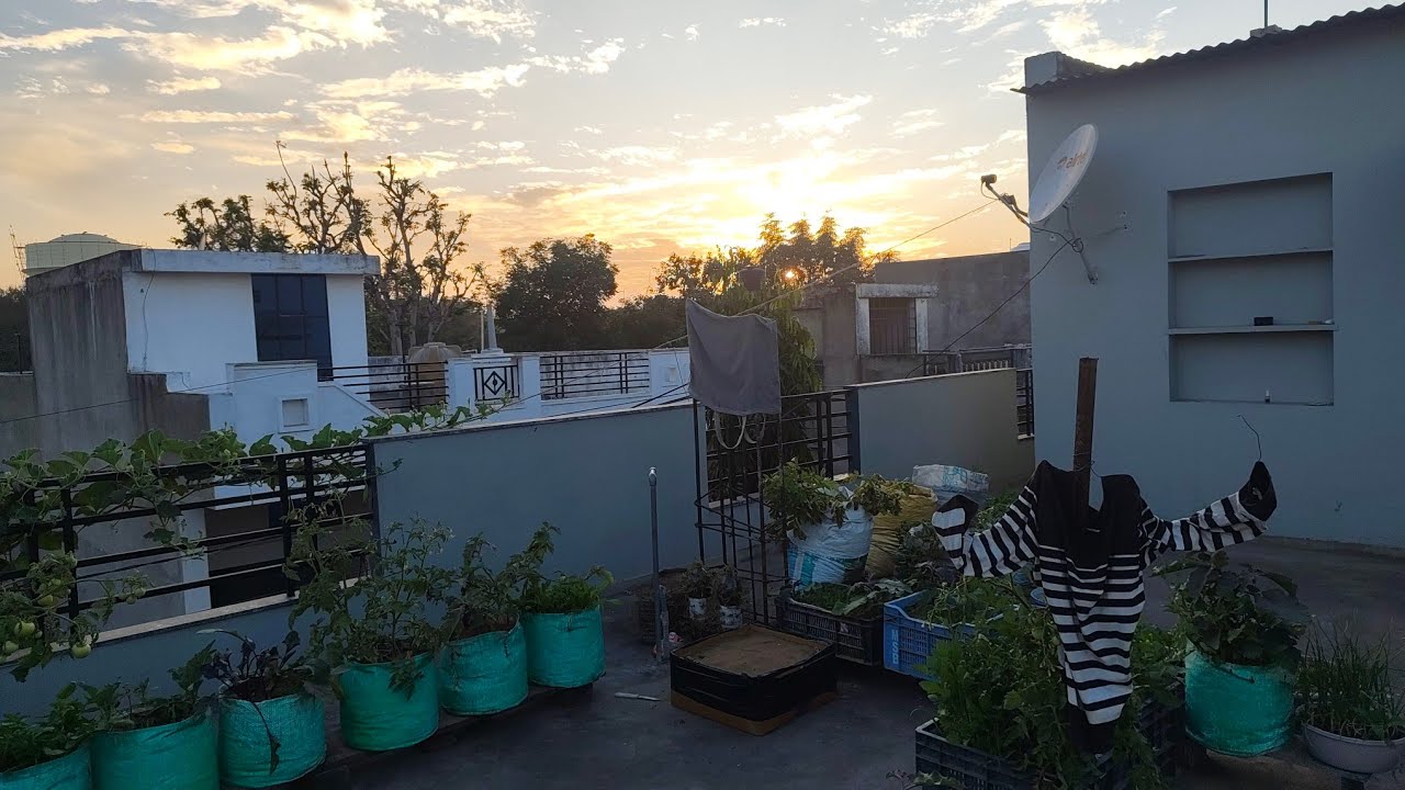 Fun Food and Gardening  is live