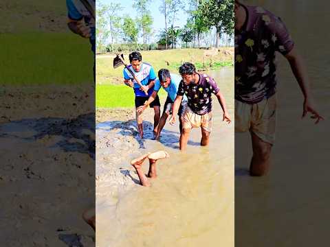 What Did The Boys See Foryou Comedy Fani