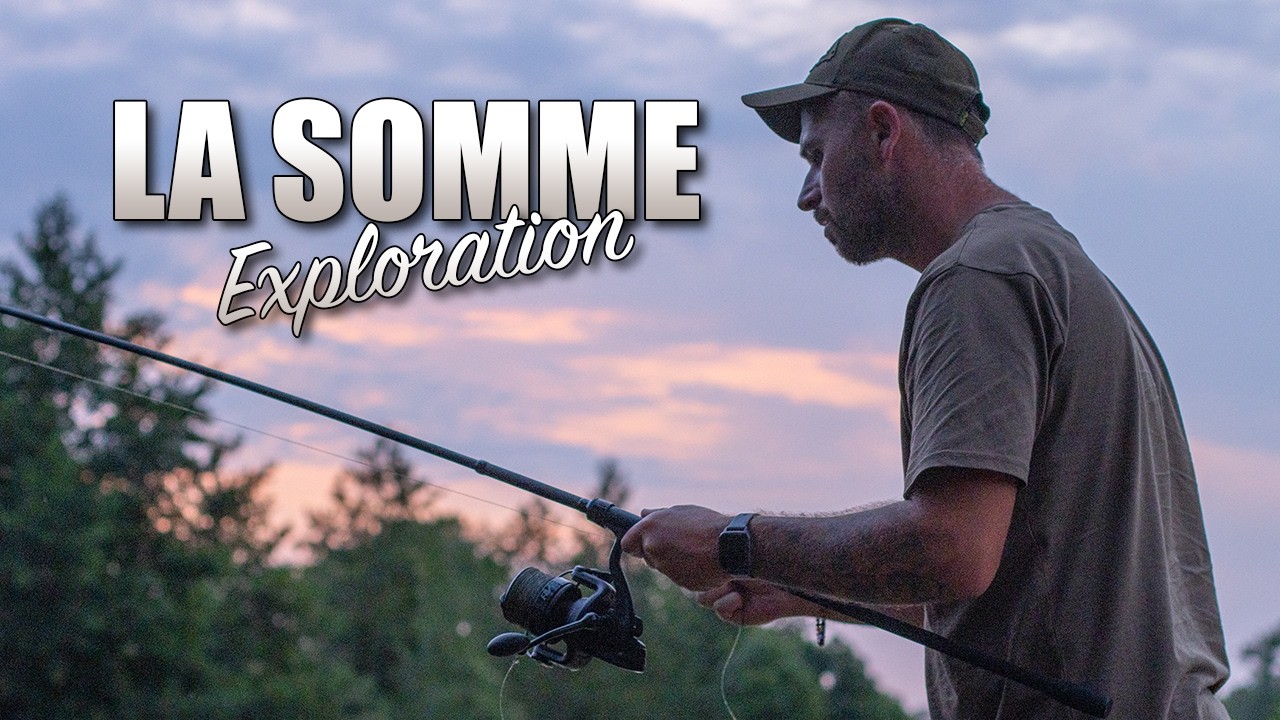 PÊCHE SUR LA SOMME - On cherche les carpes sur le canal de la Somme