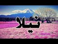 تحليل إسم نيلا 