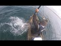 BIGGEST CALIFORNIA HALIBUT Limit on Youtube - EPIC Halibut Fishing