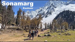 Sonamarg Kashmir | Srinagar To Sonamarg | Thajiwas Glacier | Kashmir Tourism | Manish Solanki Vlogs