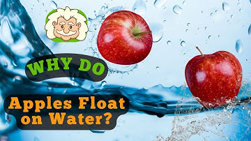Why Do Apples Float on Water?  How It Helps Apples Keep Their Head Above Water