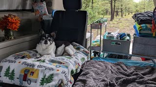 Van Life With a Dog FAQ: Tips for Safely Traveling & Camping With a Dog in a Minivan Camper & More