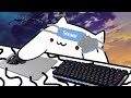 How To Fully Customize Your Bongo Cat V2!! (2020)