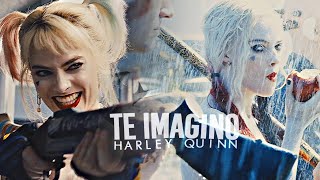 Harley Quinn || Te Imagino
