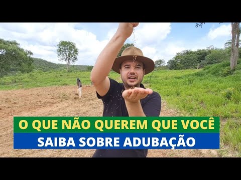 Vídeo: O que é adubo verde - usando e fazendo adubo verde