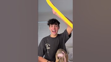 do you like it? 🤌🦖 #kylethomas #shorts