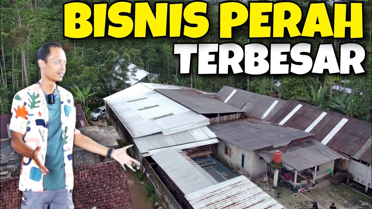 PETERNAKAN KAMBING PERAH TERBESAR