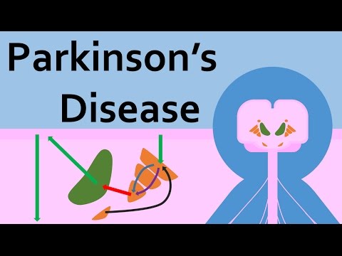 Parkinson's Disease and the Basal Ganglia