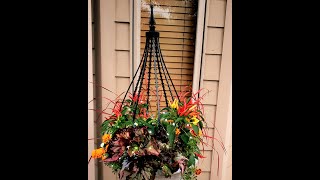 Porch Pots add a lot to Curb Appeal and this New Trellis adds a Unique Sculptural Height