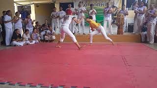 Capoeira De Rua Catarina no campeonato do alforria capoeira