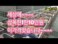 준비수량완판임다초대박/삼목판1판/수량한정 햇살바람&다육010-3413-3492