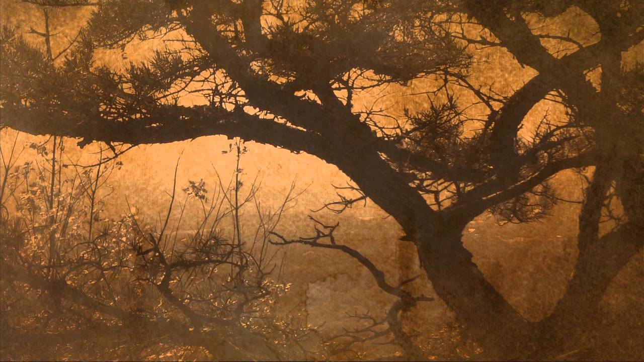 The Haiku Foundation Video Haiga #5: windless morning / Jim Kacian