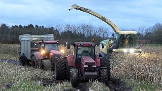 Mais Silage 2023 in Muddy Fields | Krone Big X 530 + Straight Piped Case IH Magnum 7220