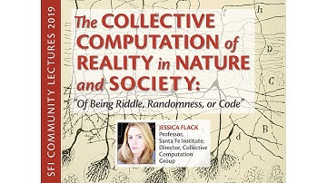 The Collective Computation of Reality in Nature and Society