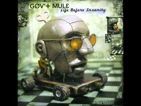 Gov't Mule - Lay Your Burden Down.wmv