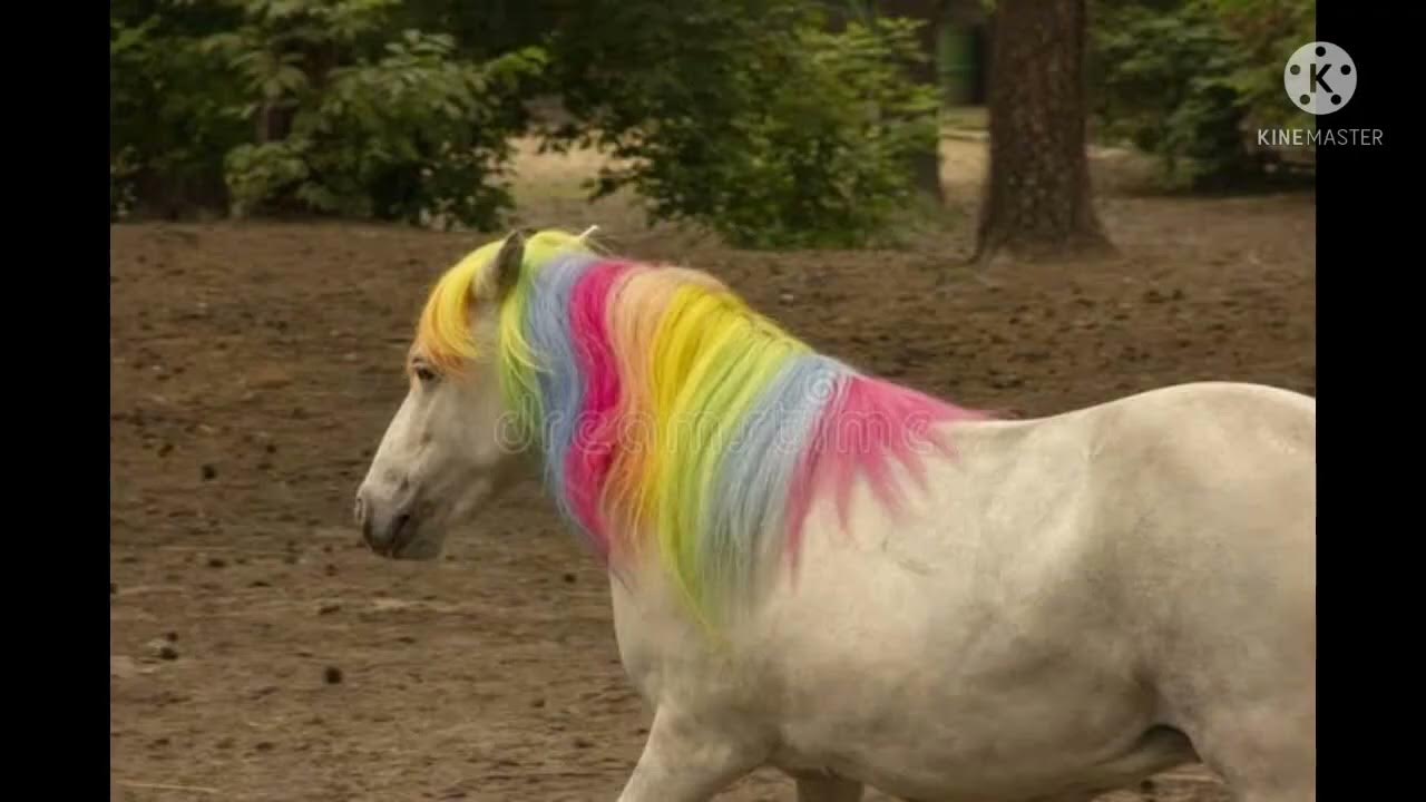 Wildcraft vs real life horse skins in real life YouTube