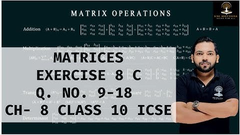MATRICES EXERCISE 8 C Q. NO. 9-18 CHAPTER 8 CLASS 10 ICSE