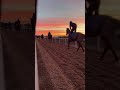 This is stunning! Mornings at Rebecca Menzies Racing