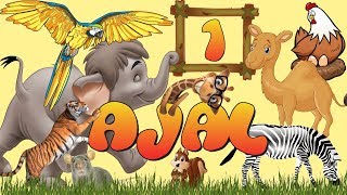 Kürtçe Hayvan Isimleri - Navên Ajalan Bi Kurdî