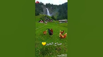 اللهم بك أصبحنا "أذكار الصباح"