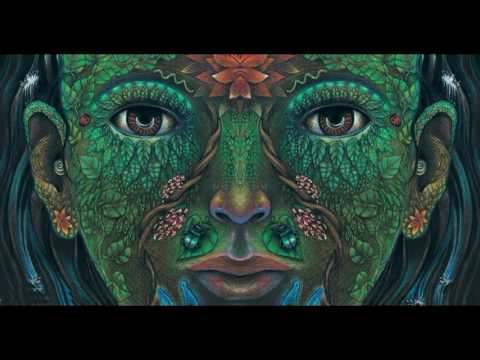 Lasha Qarcivadze - Synonym