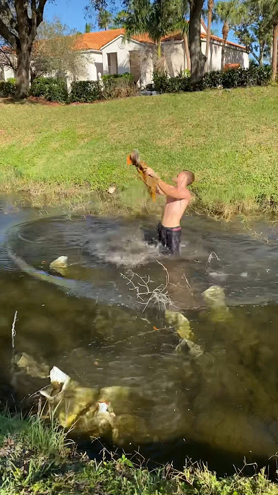 catching a HUGE iguana!!!