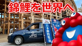なぜなに万国博 NEC - ＼#大阪関西万博 シグネチャーパビリオン「null²」に見る