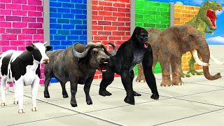 Choose the Right Mystery Wall with Cow Elephant Buffalo Gorilla Wild Animals Total Wipeout Challenge