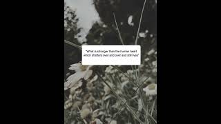 #love #poetry #sadpoetry #quotes #quotelovers #poetrylovers #status
