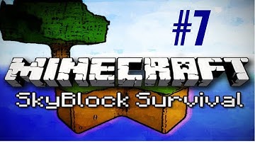 SkyBlock w/Pat&David E7: Nether/Spawner