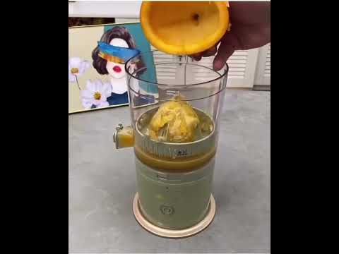 Portable Electric Juicer,