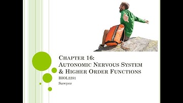 Chapter 16 Lecture Video